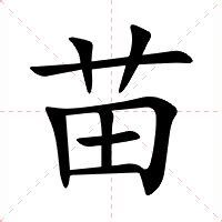 苗字意思|苗的解释